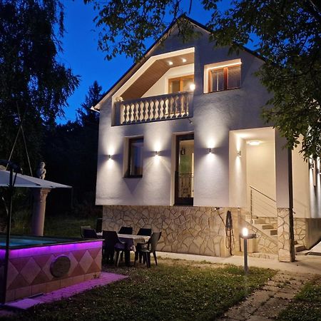 Pilis Hills View Deluxe House With Pool & Ac Near Bp Pilisszentivan Exterior foto